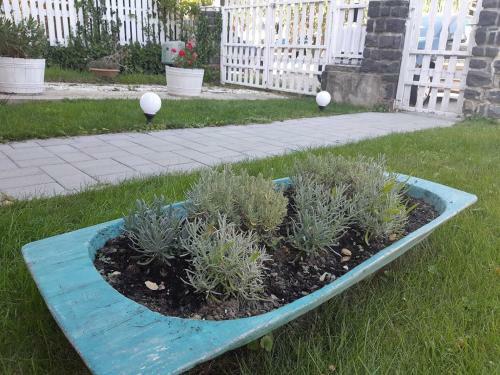 Hostal Pihi Vend�gh�z