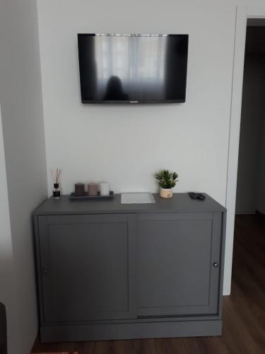 Apartment Lev Tolstoy 63