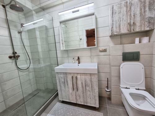 Business Class Apartments In The City Center