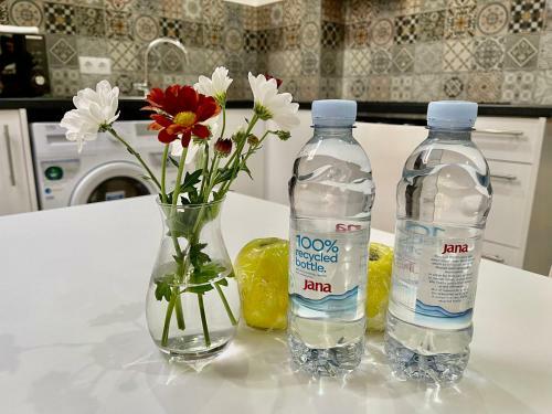 Apartamento Premier City Hotel Chisinau