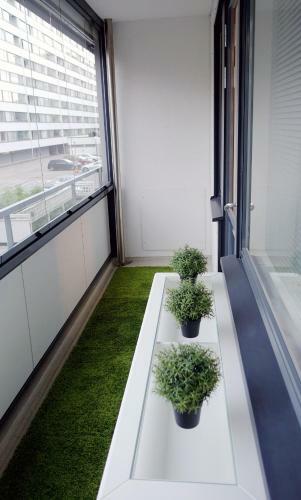 Kr Studio Apartment Harju