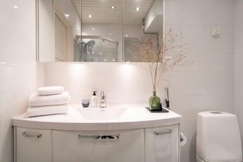 Apartamento Roost Vy�katu