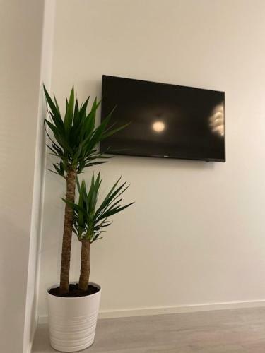 Stylished And Bright Studio Apartment