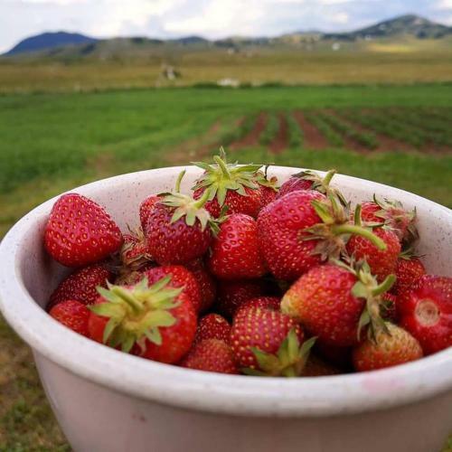 Hostal Organic Family Farm