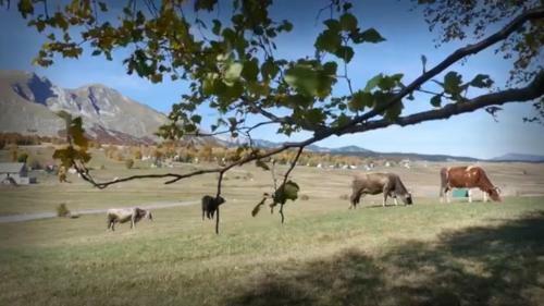 Hostal Organic Family Farm