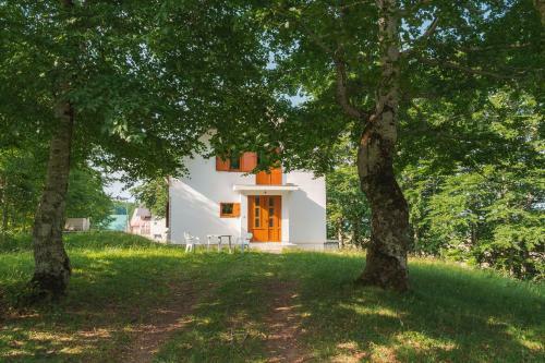 Highlander's House