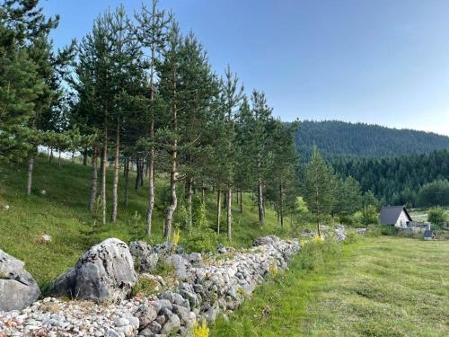 Hostal Guest House Bojovic