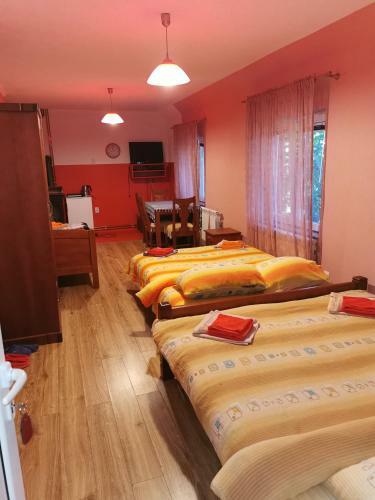 Apartmani Razvr?je