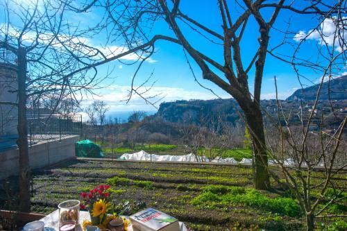 Apartamento La Casetta