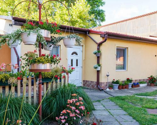 Apartamento Fenyvesi Vend�gh�z