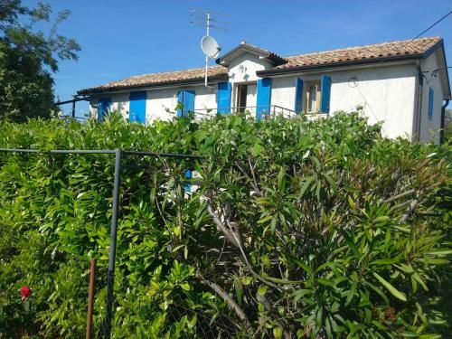 House Ivas With Garden
