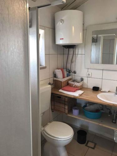 Apartments In Zambratija/istrien 33566