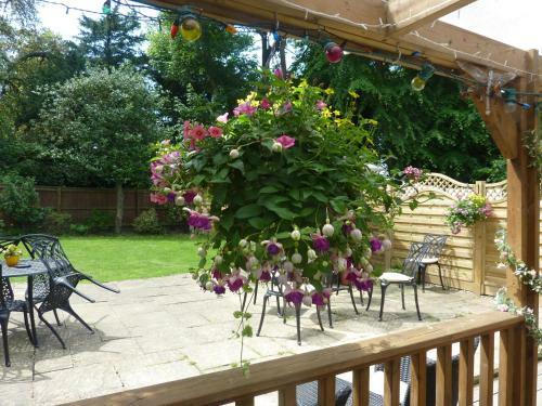 Bed & Breakfast Castle Lodge
