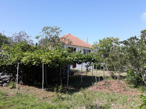 Konoba Hajdukovic