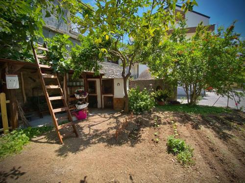 Apartamento Casa Vacanze Gli Agrumi