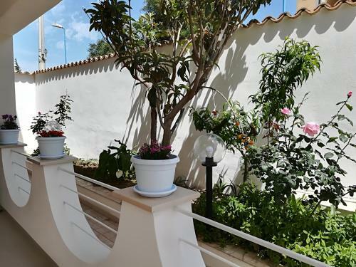 Bed & Breakfast Villa Sece - Luxury Rooms