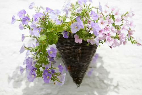 Bed & Breakfast The Wheatsheaf Combe Hay