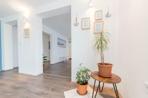 Apartmani Zara