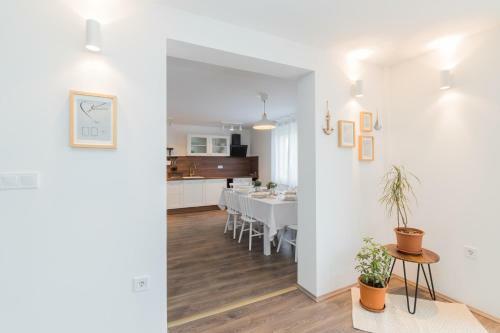 Apartmani Zara
