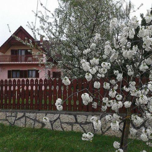 Apartamento T�th Nyaral�