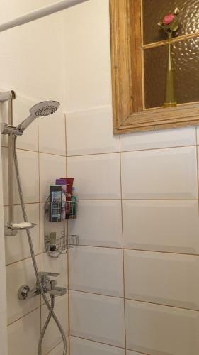 Apartamento Camino Cesis