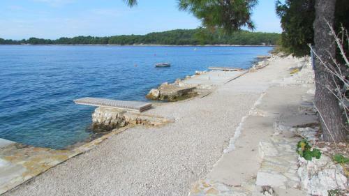 Apartmani Tanja