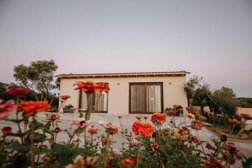 Aiora Villas