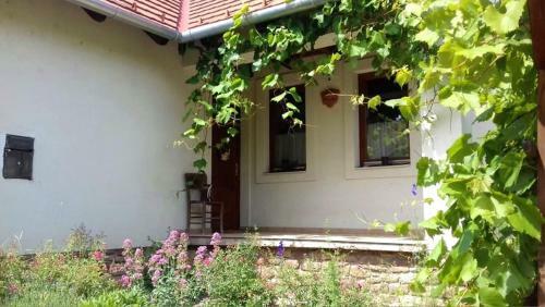 Rendesi Vend�gh�z