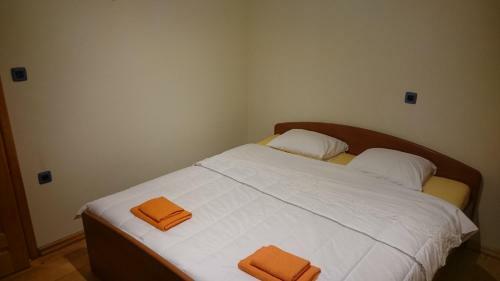 Apartment Kosi?