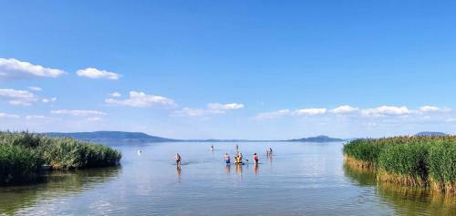 Varga Gardens Balatonm�riaf�rd?