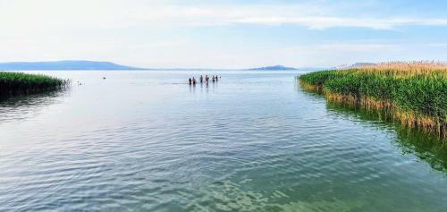 Varga Gardens Balatonm�riaf�rd?