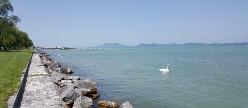 Apartamento Lelle Resort B26