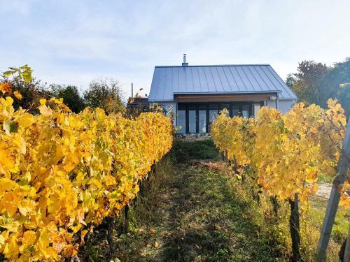Apartamento Wine And Space Cottage At Lake Balaton