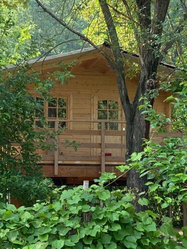 Apartamento Room In Studio - Casa Sullalbero Rural Eco