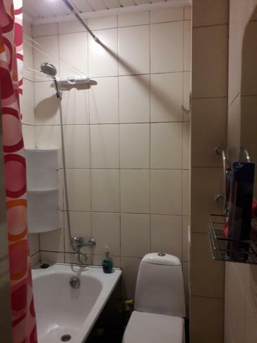 Apartamento Vienibas 38a