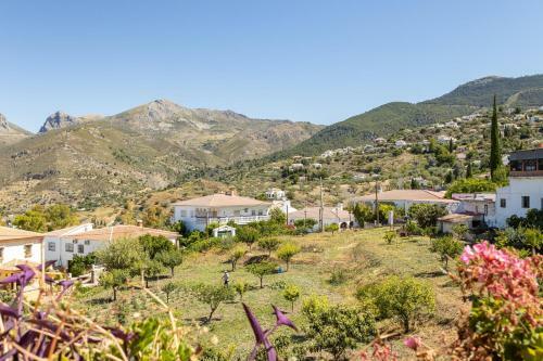 Apartamento �tico Alcauc�n