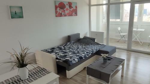 Apartment Alex Miramare