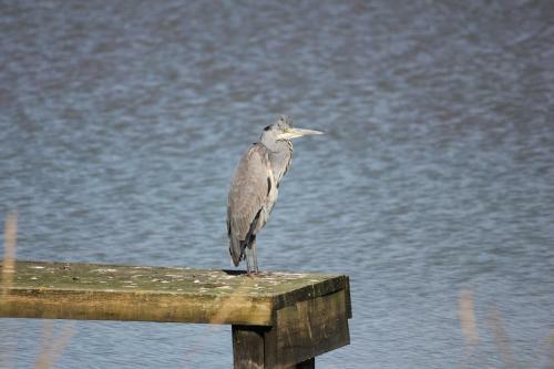 Lakeside Park Hotel & Spa