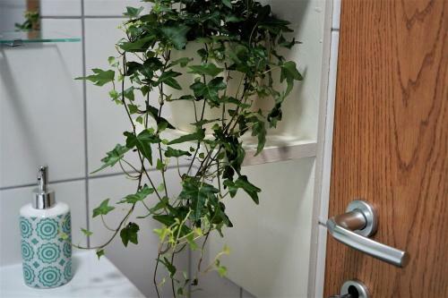 Momo's Studio Apartment Zagreb