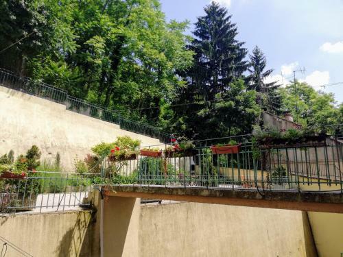 Amalia Apartments