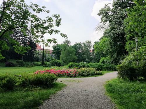 Amalia Apartments