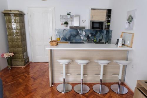 Apartment Saraga Centre 3