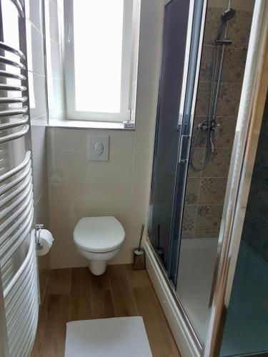 Apartment Saraga Centre 3