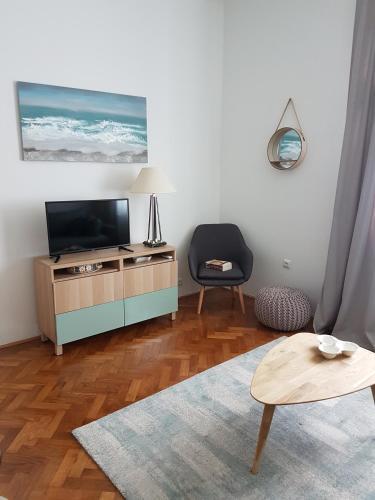 Apartment Saraga Centre 3
