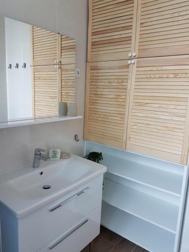 Apartment Saraga Centre 3