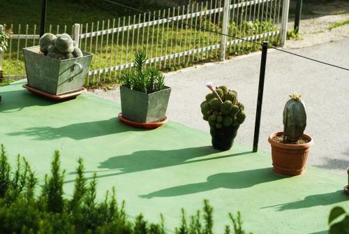 Agroturismo Family House Talani