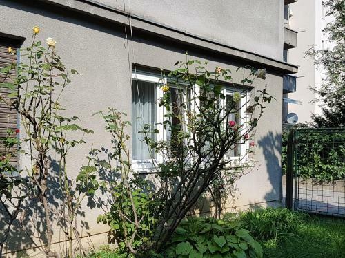 Relo Apartment