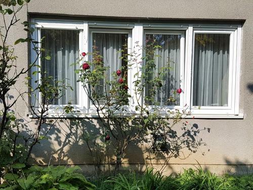 Relo Apartment