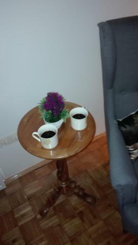 Studio Apartman Dinko Zagreb