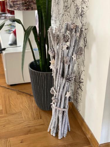 Apartman Fenjer